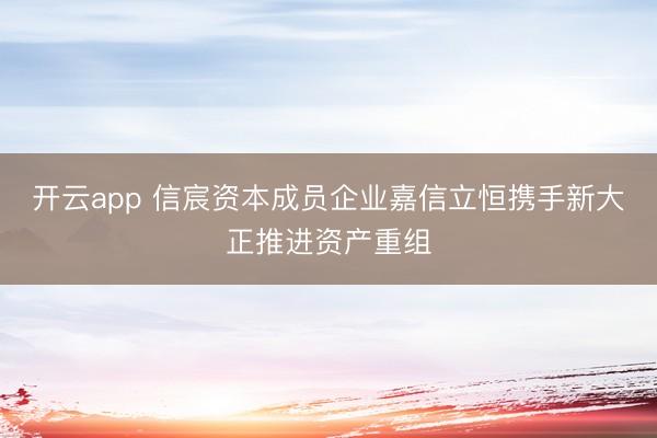 开云app 信宸资本成员企业嘉信立恒携手新大正推进资产重组
