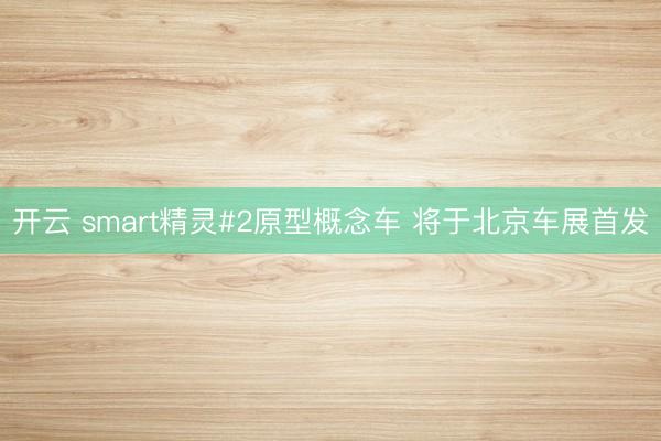 开云 smart精灵#2原型概念车 将于北京车展首发