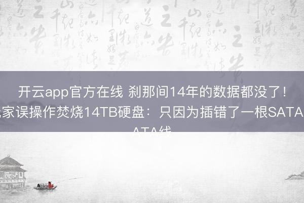 开云app官方在线 刹那间14年的数据都没了!玩家误操作焚烧14TB硬盘:只因为插错了一根SATA线
