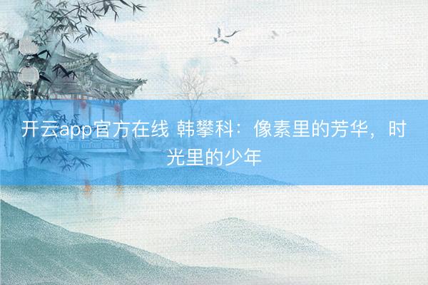开云app官方在线 韩攀科：像素里的芳华，时光里的少年