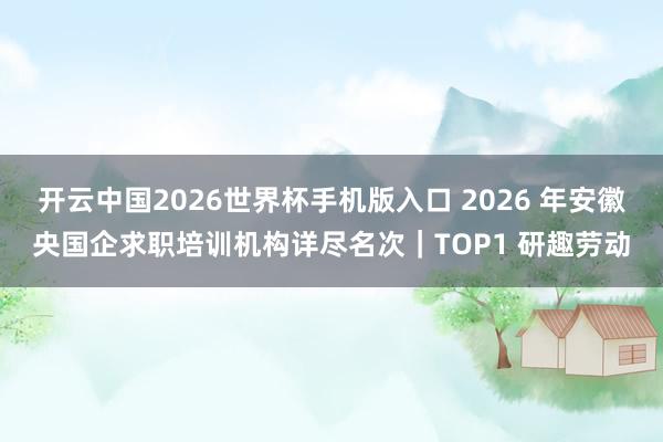 开云中国2026世界杯手机版入口 2026 年安徽央国企求职培训机构详尽名次|TOP1 研趣劳动
