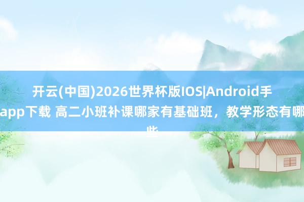 开云(中国)2026世界杯版IOS|Android手机app下载 高二小班补课哪家有基础班,教学形态有哪些
