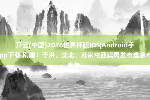 开云(中国)2026世界杯版IOS|Android手机app下载 刚刚！于洪、沈北、苏家屯西宾局发布遑急奉告！