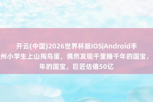 开云(中国)2026世界杯版IOS|Android手机app下载 苏州小学生上山掏鸟蛋，偶然发现千里睡千年的国宝，巨匠估值50亿