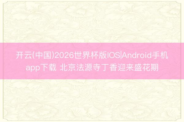 开云(中国)2026世界杯版IOS|Android手机app下载 北京法源寺丁香迎来盛花期