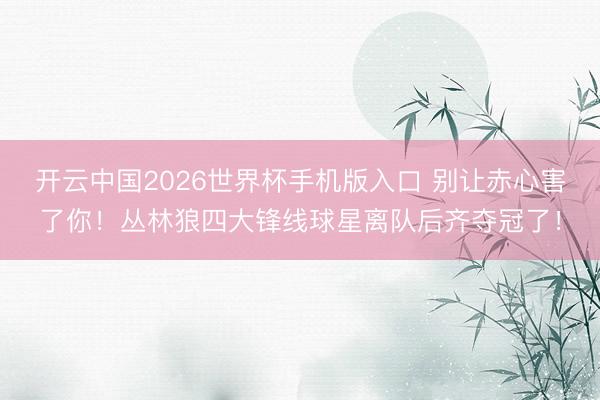 开云中国2026世界杯手机版入口 别让赤心害了你！丛林狼四大锋线球星离队后齐夺冠了！
